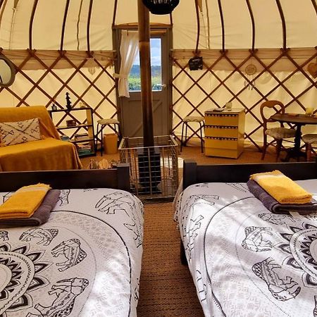 Hotel Bronfelen Yurt à Cynghordy Extérieur photo