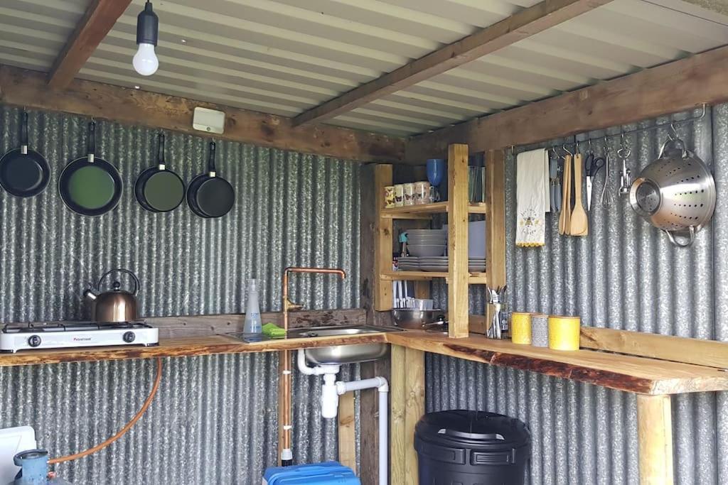 Hotel Bronfelen Yurt à Cynghordy Extérieur photo
