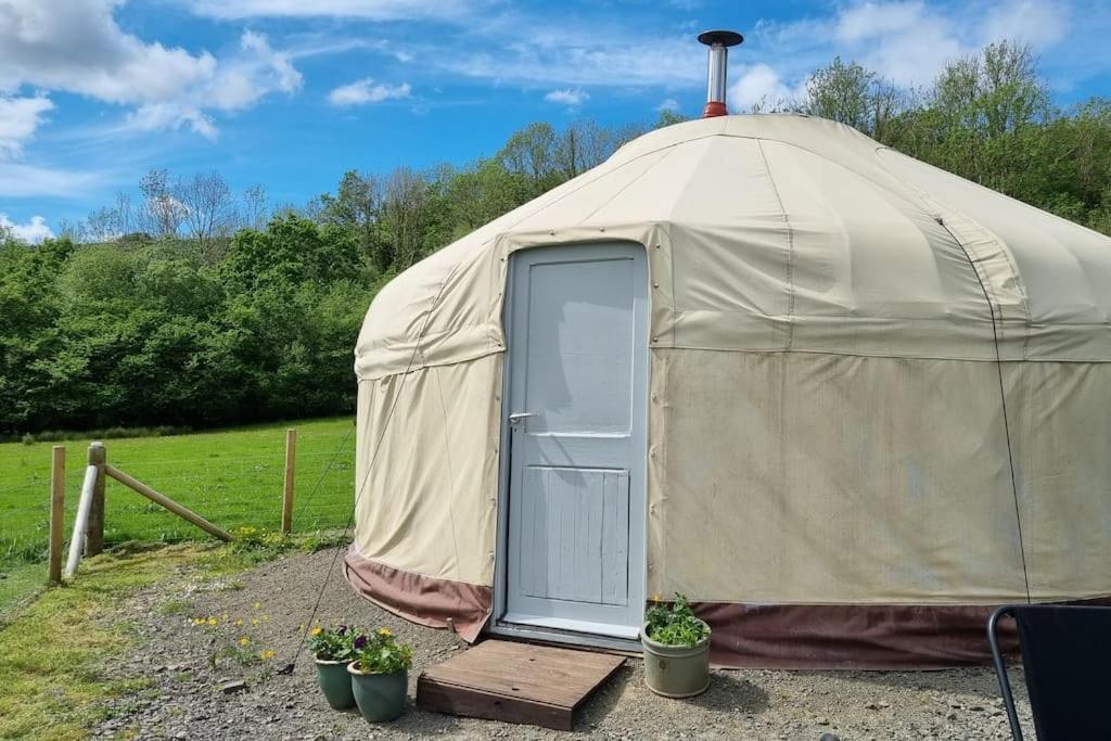 Hotel Bronfelen Yurt à Cynghordy Extérieur photo