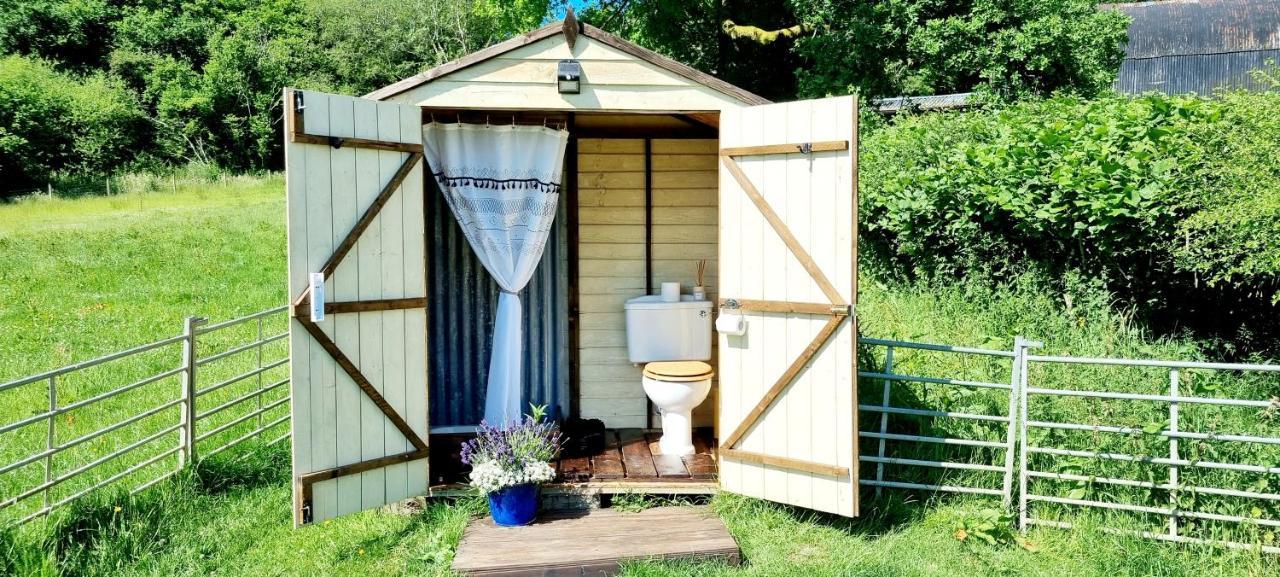 Hotel Bronfelen Yurt à Cynghordy Extérieur photo