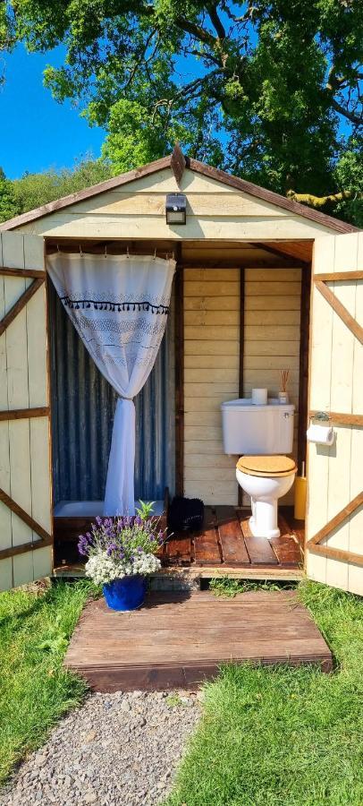 Hotel Bronfelen Yurt à Cynghordy Extérieur photo